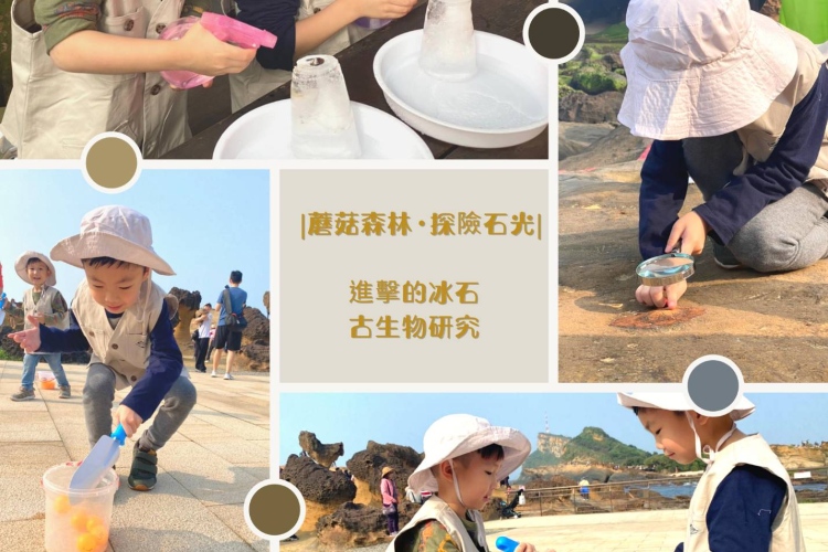 | 蘑菇森林的探險石光 |
●來到野柳地質公園,換上小小地質研究員的特製套裝,戴上研究配備,迎接接下來的研究任務吧!
●是什麼原因讓這些又高又大的岩石變得奇形怪狀的?為什麼地上有好多像花瓣形狀的石頭,好像是千萬年前居住在這的古生物?快交給小小地質研究員幫我們調查一下這裡的秘密!