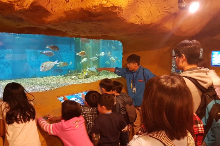 DAY2
參觀水族館🐠🐟
